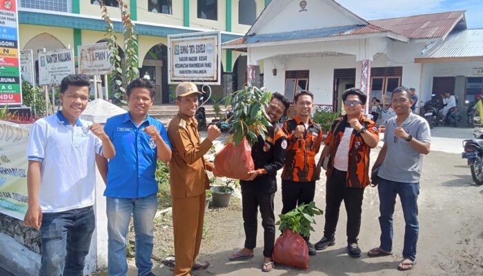 Mahasiswa dan Pemuda Bagi-bagi Bibit Buah di Simalungun